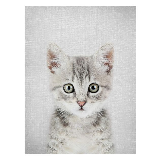Canvas print - Baby Cat Killi - Portrait format 3:4