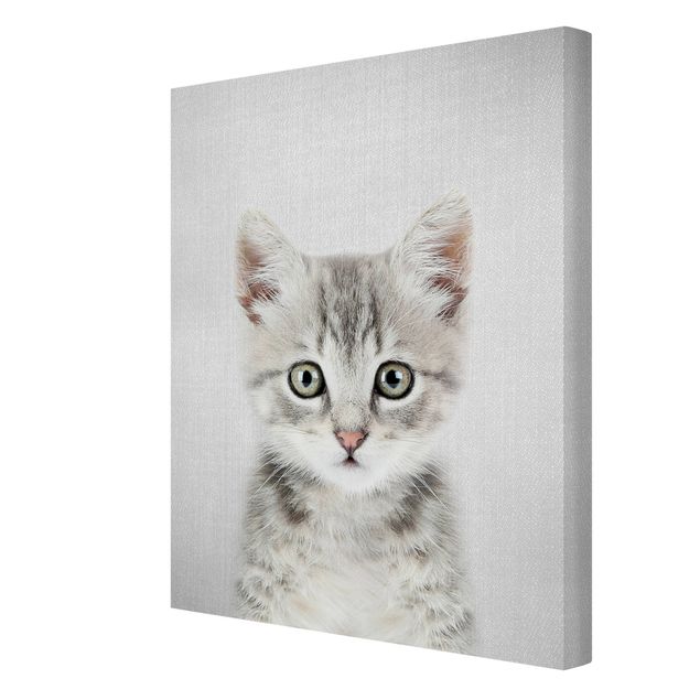 Canvas print - Baby Cat Killi - Portrait format 3:4