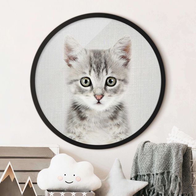 Framed prints round Baby Cat Killi