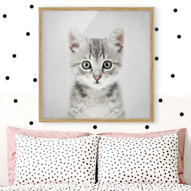 Framed poster - Baby Cat Killi