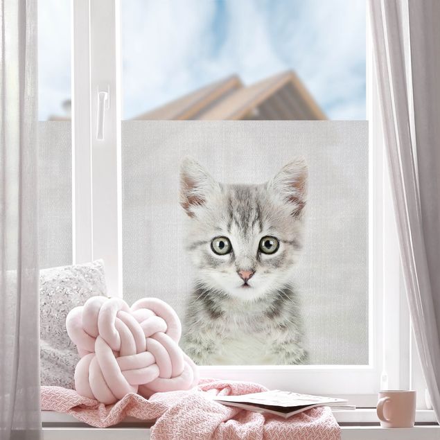 Window decoration - Baby Cat Killi