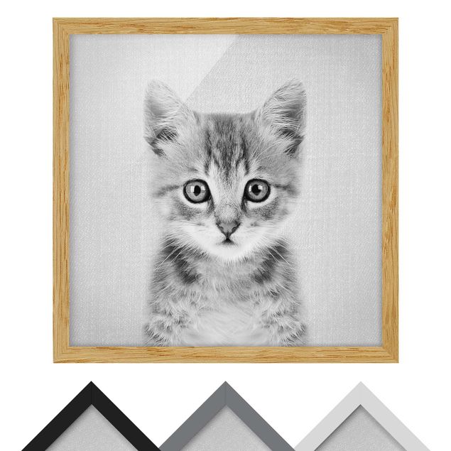 Framed poster - Baby Cat Killi Black And White
