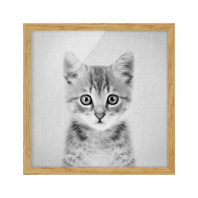 Framed poster - Baby Cat Killi Black And White