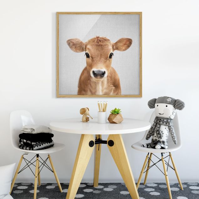 Framed poster - Baby Cow Kira