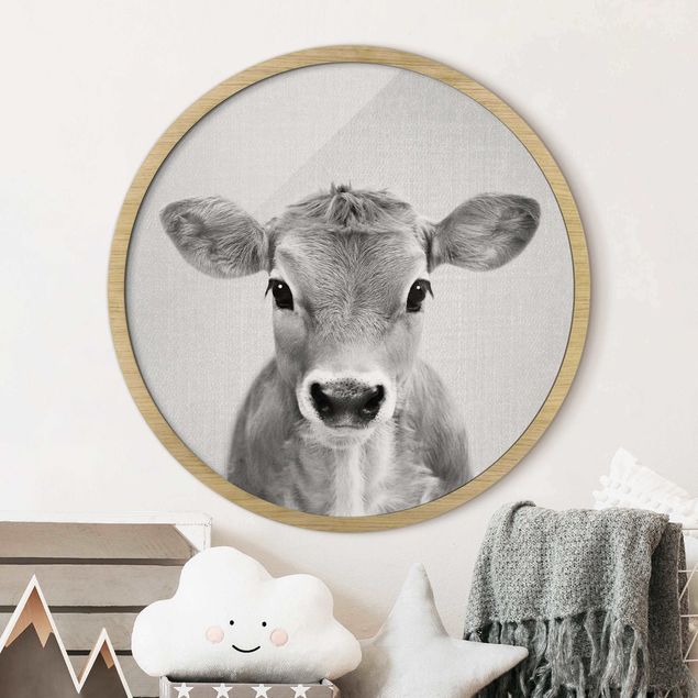 Framed prints round Baby Cow Kira Black And White