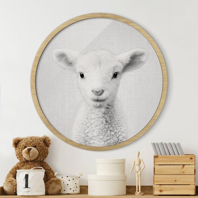 Framed prints round Baby Lamb Lina Black And White