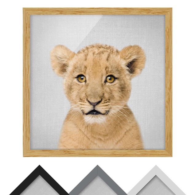 Framed poster - Baby Lion Luca