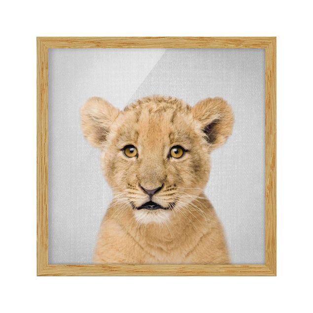 Framed poster - Baby Lion Luca