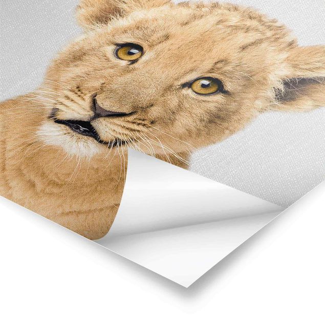 Poster art print - Baby Lion Luca