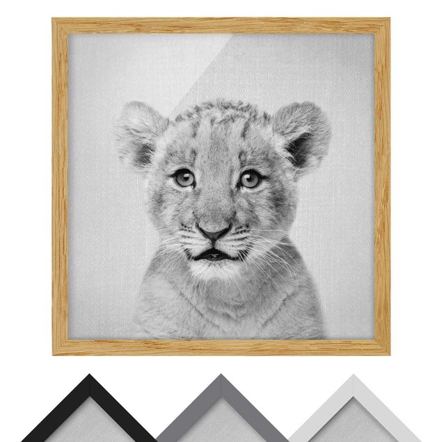Framed poster - Baby Lion Luca Black And White