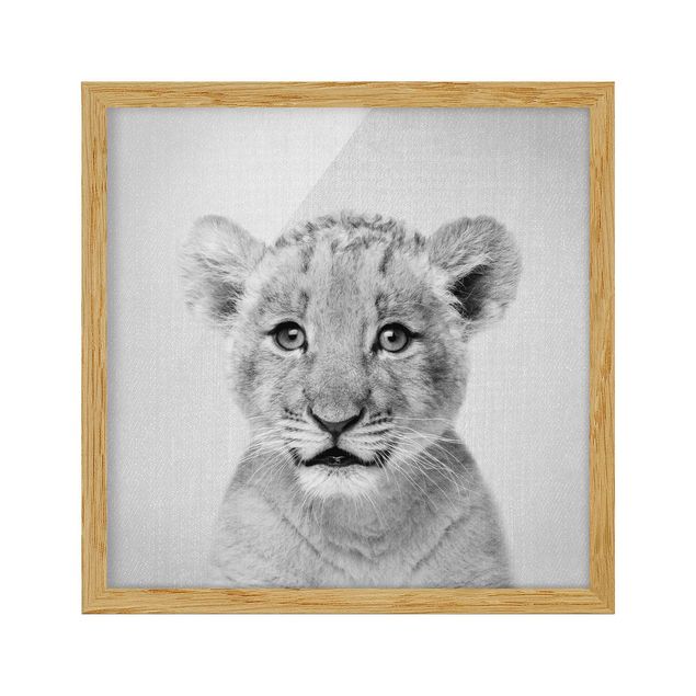 Framed poster - Baby Lion Luca Black And White