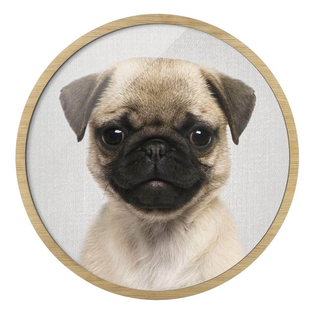 Circular framed print - Baby Pug Moritz