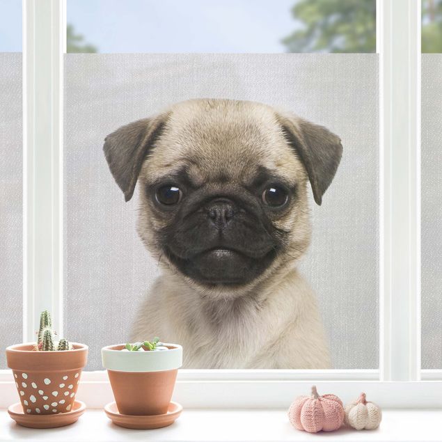 Window decoration - Baby Pug Moritz