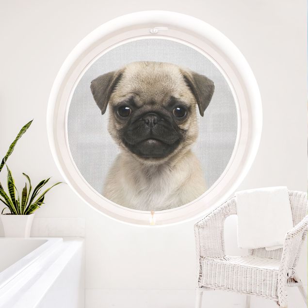 Window decoration - Baby Pug Moritz