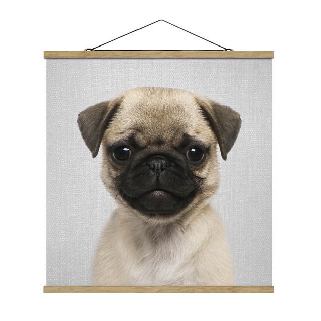 Fabric print with poster hangers - Baby Pug Moritz - Square 1:1