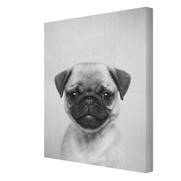 Canvas print - Baby Pug Moritz Black And White - Portrait format 3:4