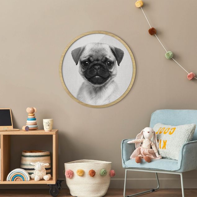 Circular framed print - Baby Pug Moritz Black And White