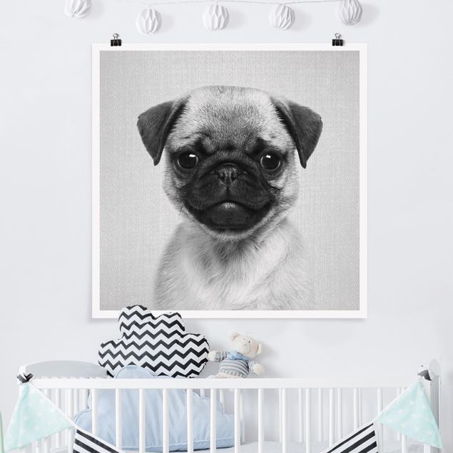 Poster art print - Baby Pug Moritz Black And White