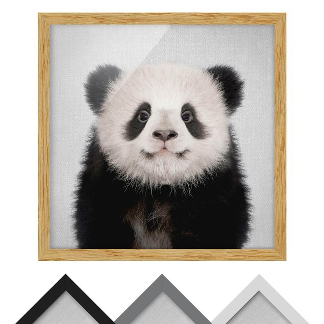 Framed poster - Baby Panda Prian