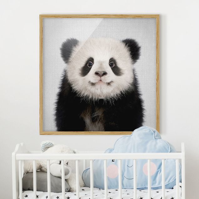 Framed poster - Baby Panda Prian