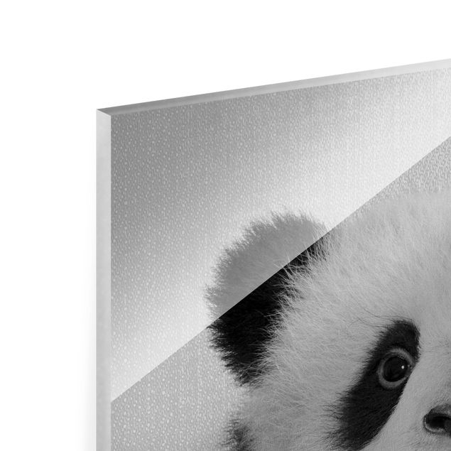 Glass print - Baby Panda Prian Black And White