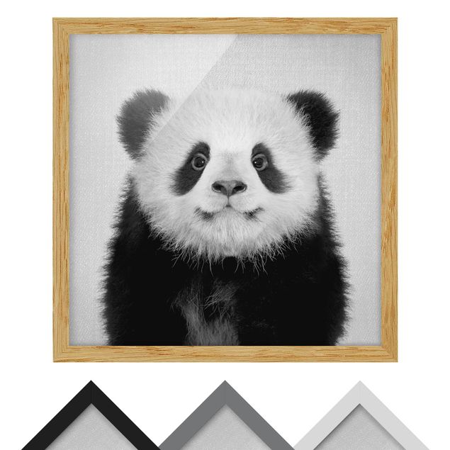 Framed poster - Baby Panda Prian Black And White