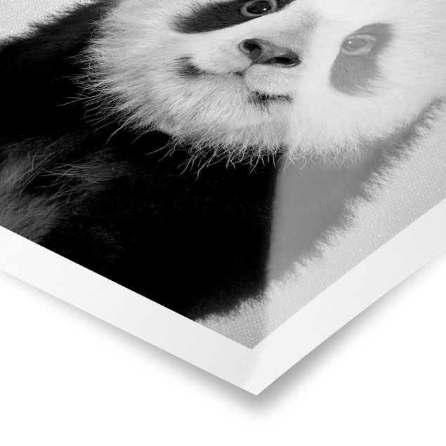 Poster art print - Baby Panda Prian Black And White