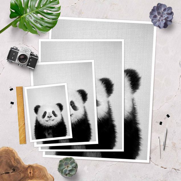 Poster art print - Baby Panda Prian Black And White