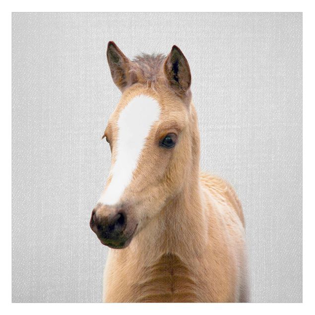 Window decoration - Baby Horse Philipp