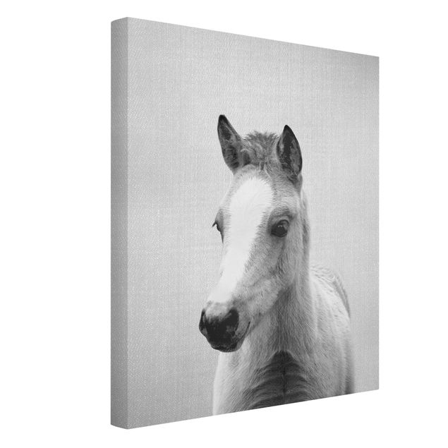 Canvas print - Baby Horse Philipp Black And White - Portrait format 3:4