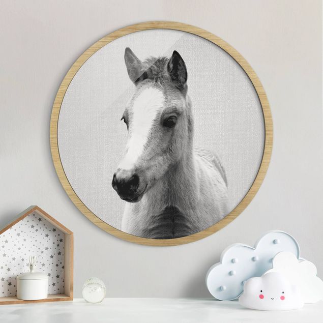 Framed prints round Baby Horse Philipp Black And White