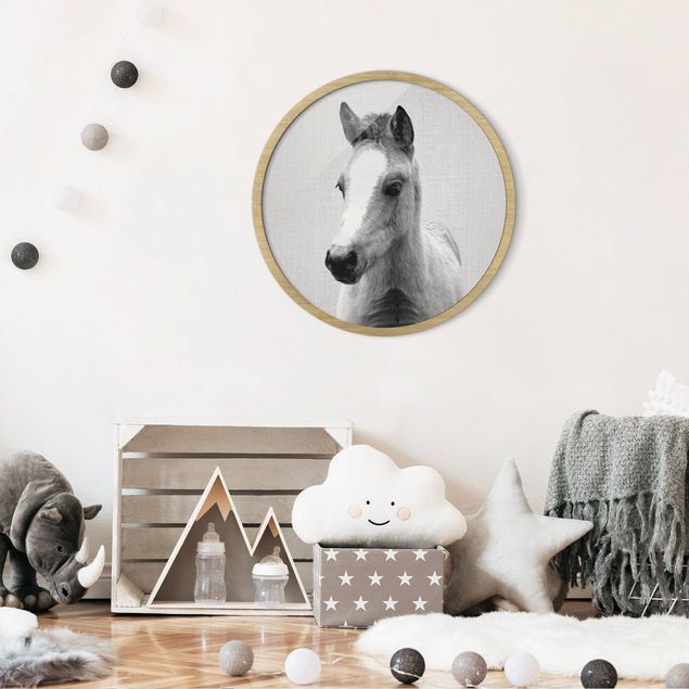 Circular framed print - Baby Horse Philipp Black And White