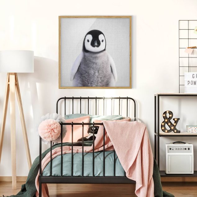 Framed poster - Baby Penguin Pepe