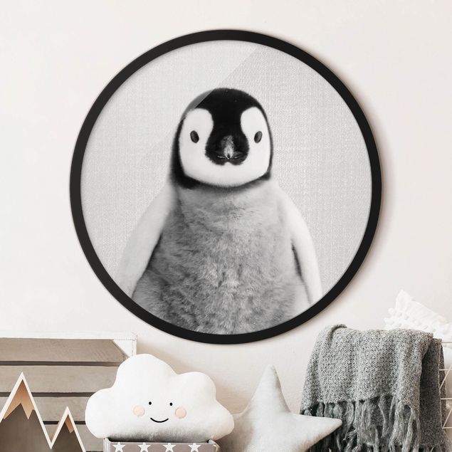 Framed prints round Baby Penguin Pepe Black And White