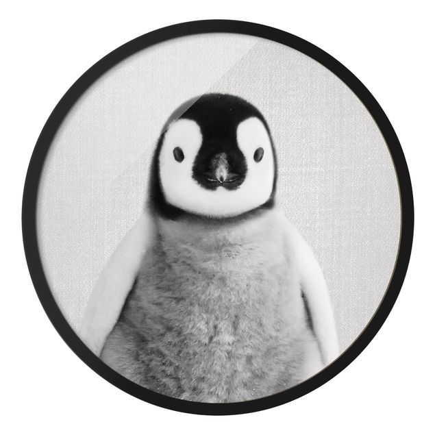 Circular framed print - Baby Penguin Pepe Black And White