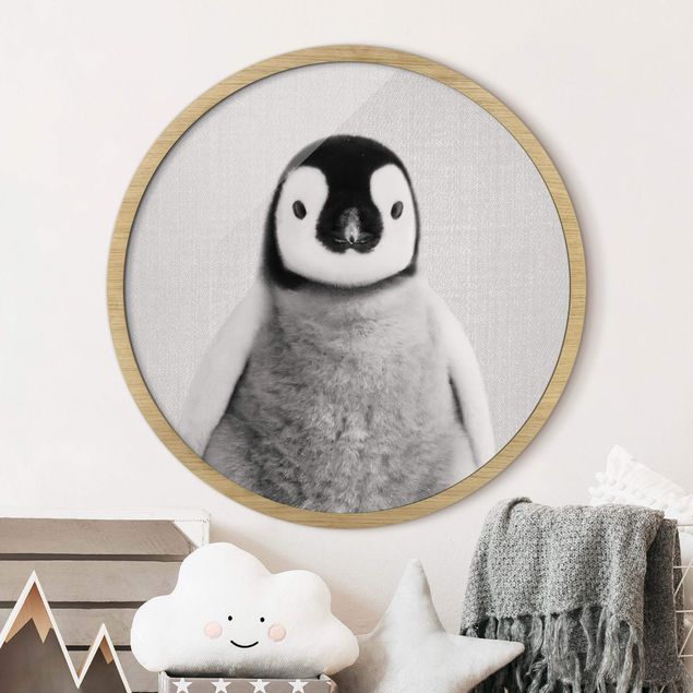 Framed prints round Baby Penguin Pepe Black And White