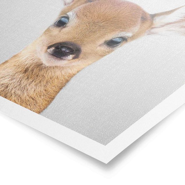 Poster art print - Baby Roe Deer Romy