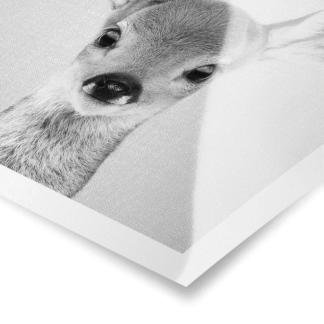 Poster art print - Baby Roe Deer Romy Black And White
