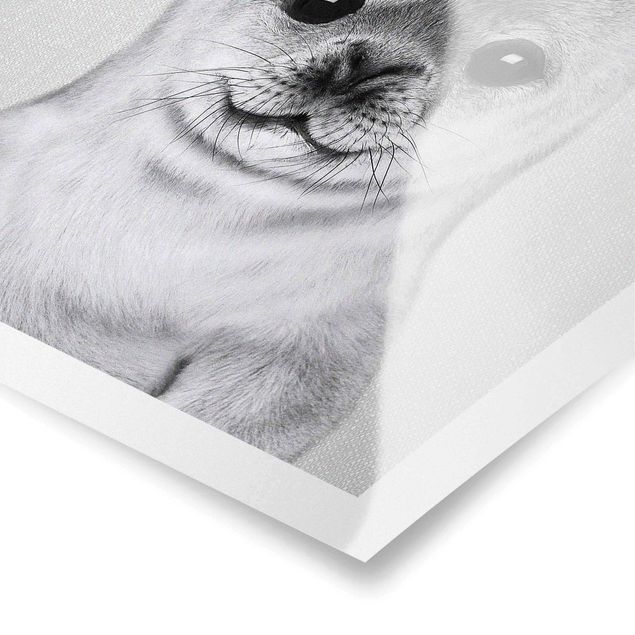 Poster art print - Baby Seal Ronny Black And White