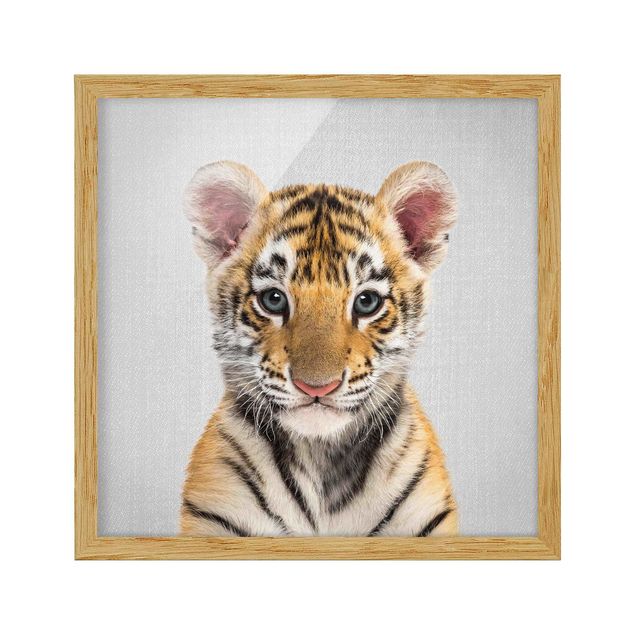 Framed poster - Baby Tiger Thor