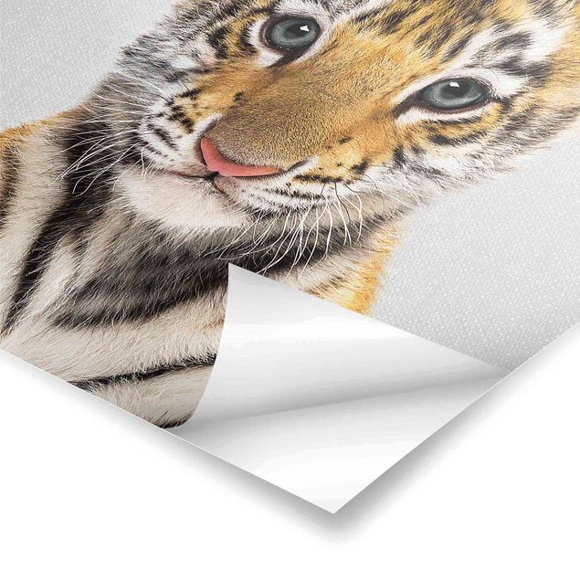 Poster art print - Baby Tiger Thor