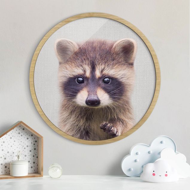Framed prints round Baby Raccoon Wicky
