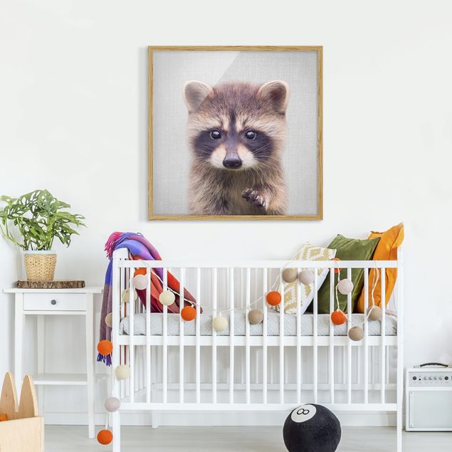 Framed poster - Baby Raccoon Wicky