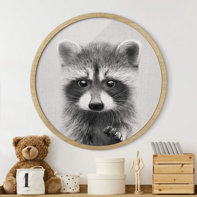 Framed prints round Baby Raccoon Wicky Black And White