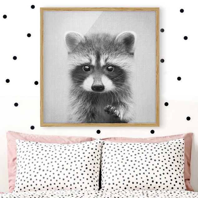 Framed poster - Baby Raccoon Wicky Black And White
