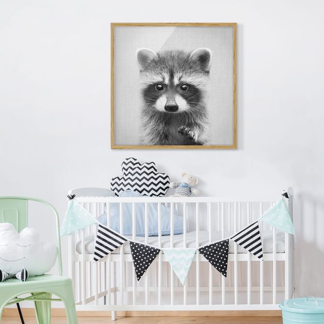 Framed poster - Baby Raccoon Wicky Black And White