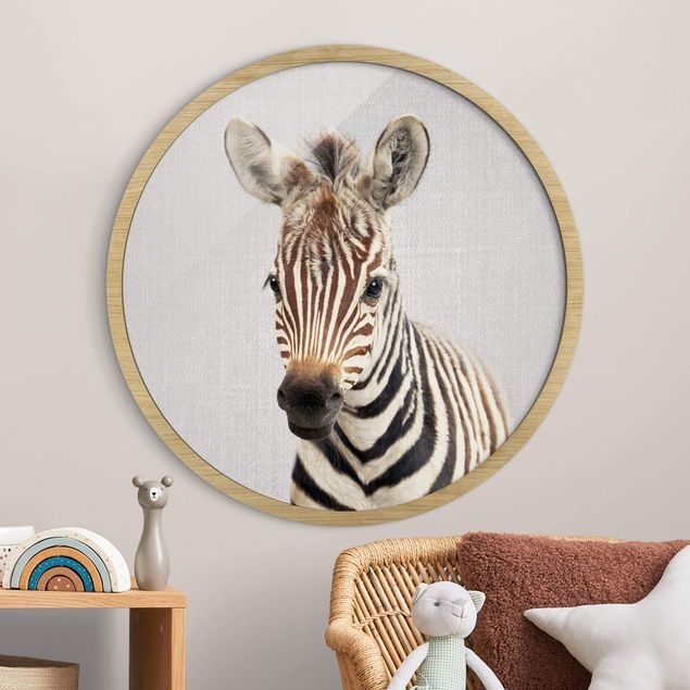 Framed prints round Baby Zebra Zoey