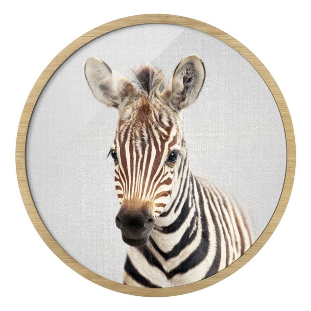 Circular framed print - Baby Zebra Zoey