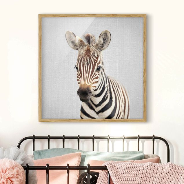 Framed poster - Baby Zebra Zoey