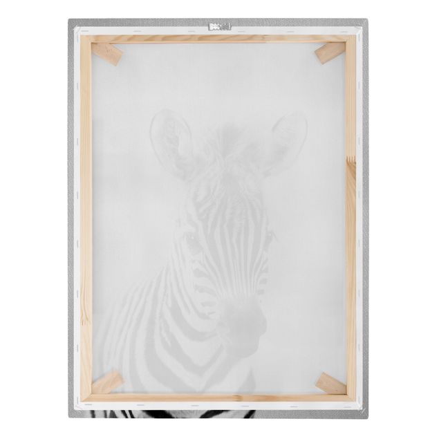 Canvas print - Baby Zebra Zoey Black And White - Portrait format 3:4
